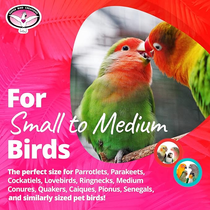 Super Bird Creations SB719 Beaker Sneaker Bird Toy for Parrotlets, Parakeets, Cockatiels, Lovebirds, ringnecks, Medium Conures - Mini Colorful Canvas Sneaker - Small/Medium Bird Size, 6" x 2"
