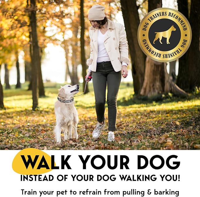 PetJett Prong Collar for Dogs - Adjustable Dog Training Collar Choke Collar for Dogs Pinch Collar for Dog, Quick Release Walking Tool for Small Medium Large Breed - Stainless Steel Metal Choker Chain
