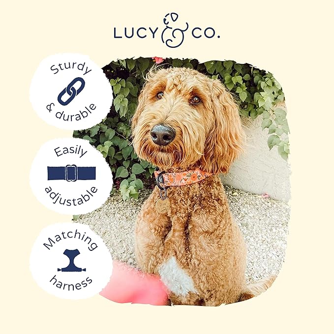 Lucy & Co. Posy Pink Dog Collar - Durable Lightweight Designer Collar for Pets - Adjustable Metal Safety Buckle - Coral Pink Floral - Medium
