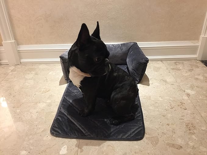 Brilliant Sunshine Premium Calming Dog Bed Mat, Silky Velvet, Removable Washable Cover, Cushion Protector and Couch Covers for Dogs, Pets, Cats, Small, Grey