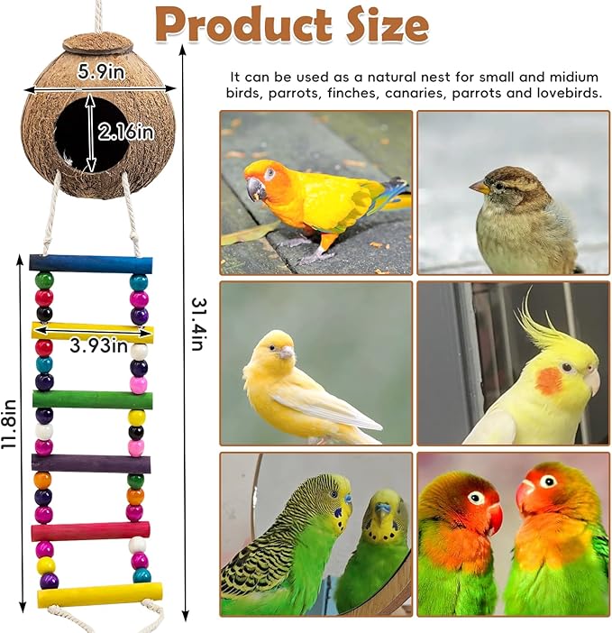 PINVNBY Hanging Coconut Bird Nest Hut with Ladder, Natural Coconut Hide Lovebird House and Colored Bead String Bird Swing for Parakeet Cockatiel Budgie Conure Canary Finch Budgies (With Coconut Fiber)