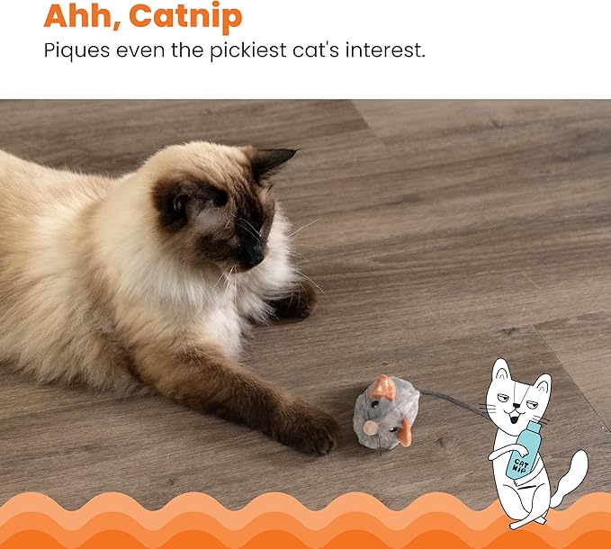 Catstages Squeak Squeak Mouse Cat Toy with Touch-Activated Sound & Catnip,Gray,(Pack of 2)