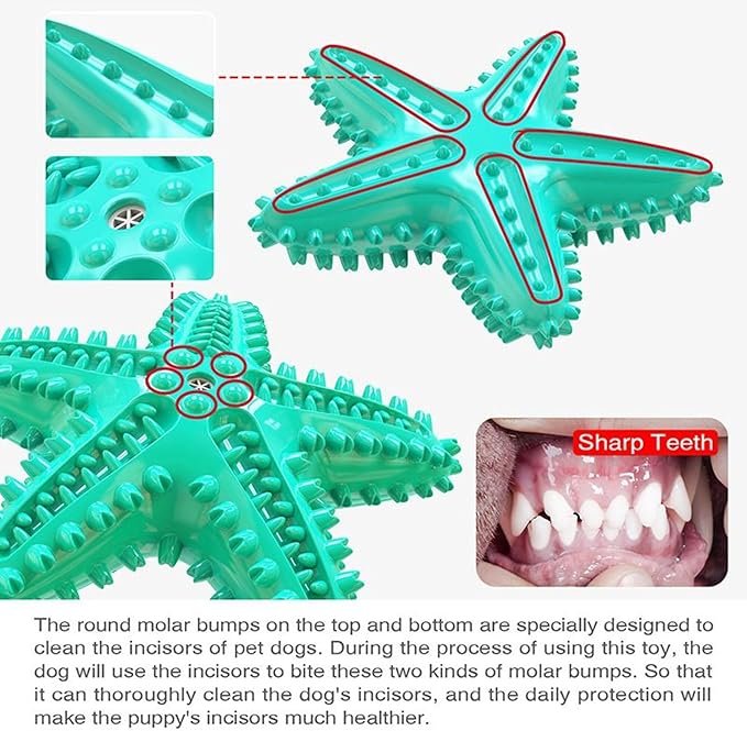 Chew Toy for Dog Toothbrush Stick Dog Toys for Aggressive Chewers Interactive Toys Treats Tough Toy to Keep Them Busy Chew Toys for Small Dogs (Star Toy - Blue)