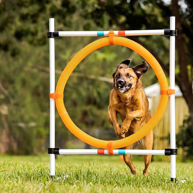 Midlee Dog Agility Hoop Jump