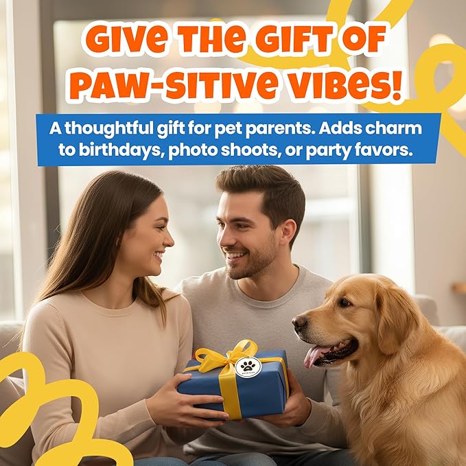 Dog Birthday Party Hat Set, Reusable & Adorable Kitty/Doggy Birthday Celebration Accessories, 1 Pack (9 Pet Hats & 2 Crowns) - Dirty Dog Goods