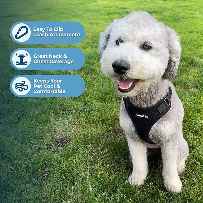 Voyager Step-in Pet Harness - All Weather Mesh, Adjustable Step in Harness for Cats and Dogs by Best Pet Supplies - Black, XL