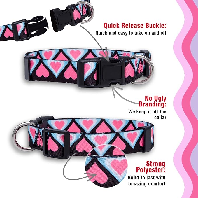 Native Pup Valentine’s Dog Collar- Valentines Day Pet Collars- Valentine Girly Hearts- Pink Red Heart- Cute Boy Girl Puppy Gift- Adjustable for Small, Medium, Large Breeds (Blue & Pink Hearts, Medium)