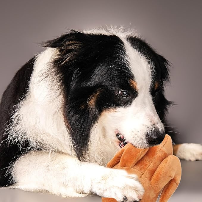Puppy Chew Toys, Cute Durable Fabric Interactive Small Dog Toy,Indestructible Plush Heavy Duty Dog Toys to Keep Them Busy for Playing Small Medium Breeds Puppy Home Teething Anxiety Relief Indoor