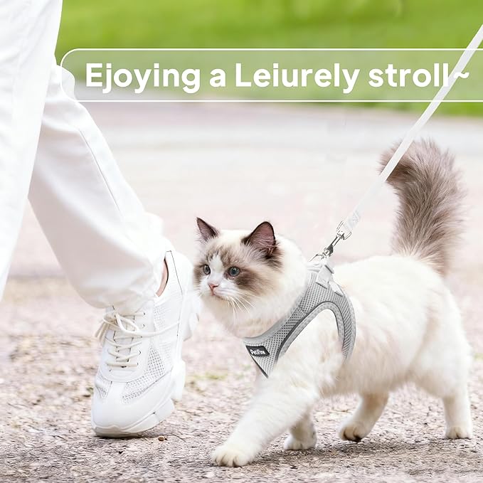 PetiFine Cat Harness and Leash Set,Escape Proof Kitten Harness Reflective,Soft Lightweight Puppy Harness for Walking and Travelling(XXS, Grey)
