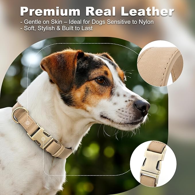 Plutus Pet Genuine Leather Dog Collar – Adjustable Pet Collar with Quick Release Metal Buckle, Soft Real Leather for Small Medium Large Dogs, Heavy Duty & Skin-Friendly (Beige, M)
