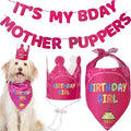 Dog Birthday Party Supplies - Bday Decoration Set - Birthday Girl Bandana for Medium, Large Dogs, Party Hat, Crown and Cute Banner with It's My Birthday Mother Puppers Sign