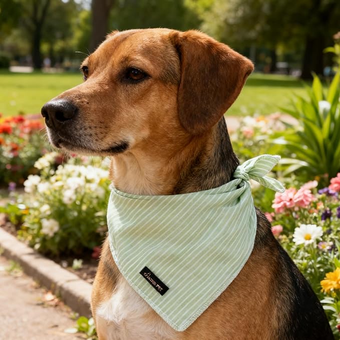 ARING PET Summer Dog Bandana-Cute Green Dog Bandanas, Comfortable Pet Scarf Dogs Triangle Bibs for Small to Large Boy Girl Dogs and Cats