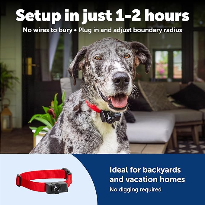 PetSafe Wireless Pet Containment System - Original Wireless Electric Fence for Dogs - Covers Up to 1/2 Acre - for Pets 8lb+