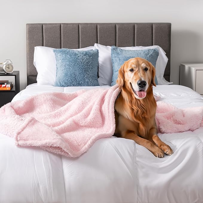 PetAmi Dog Blanket for Large Medium Dogs Pink, Fluffy Soft Puppy Blanket, Sherpa Fleece Cat Blanket for Kitten Doggie, Calming Pet Blanket Throw for Bed Washable Sofa Couch Cover, Large 40x60