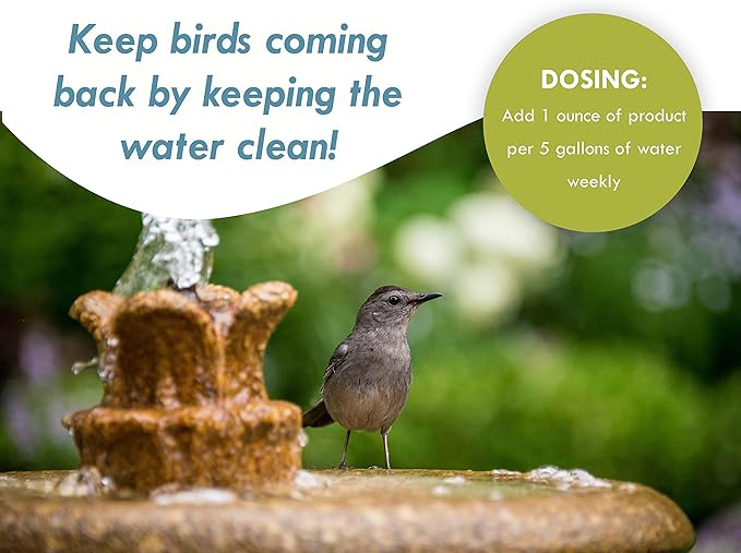 Sanco Bird Bath & Fountain Maintenance, Fast-Acting Enzyme-Based Formula Will Extend The Life of Your Water Feature, Aid in Maintaining a Balanced Ecosystem, 16 oz