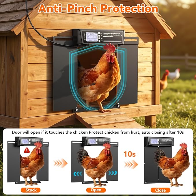 Automatic Chicken Coop Door Large Size, 7W Solar Powered with Timer & Light Sensor, Anti-Pinch Safety Chicken Door, Remote Control, Predator-Proof Aluminum Door for Poultry, Ducks & Chickens