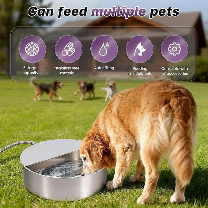 6L Automatic Dog Water Bowl Dispenser Outdoor Stainless Steel Pet Waterer Self Filling Waterer for Large Dog Cat Chicken Duck Goat