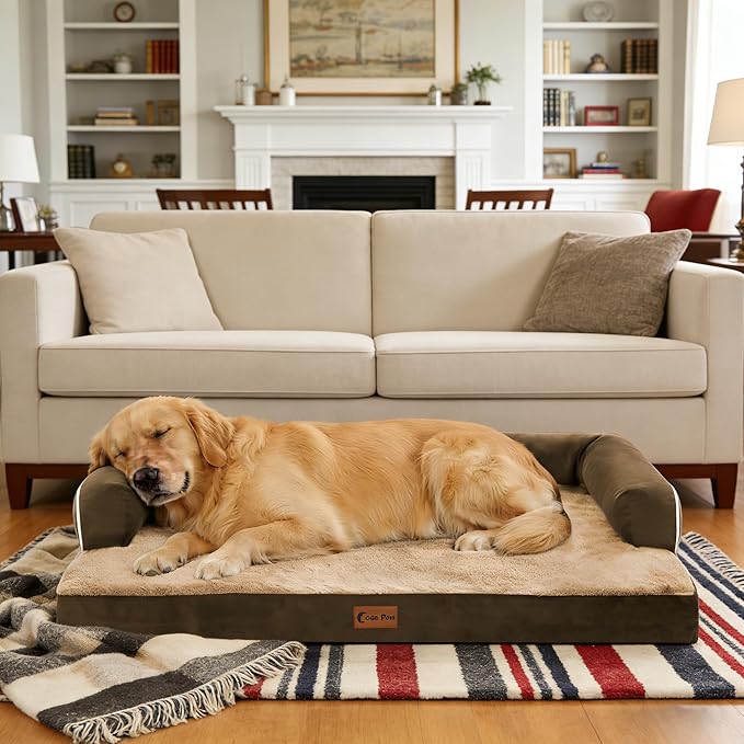 Orthopedic Dog Beds for Extra Large Dogs, Waterproof Egg Crate Foam XL Dog Bed with Sides 48x30Inch, Big Dogs Couch Beds with Removable Washable Cover and Nonskid Bottom, Brown