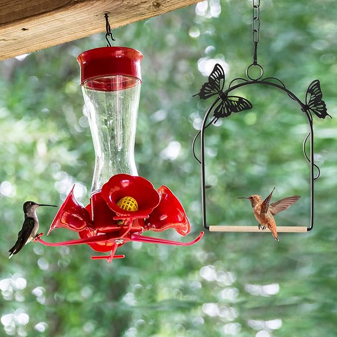 Hummingbird Swing 2 Pack Attractive Hummingbird Perch with Rust Resistant Metal Frame, Wooden Dowel and Hanging Chain for Wild Finches & Orioles Bird Outdoors