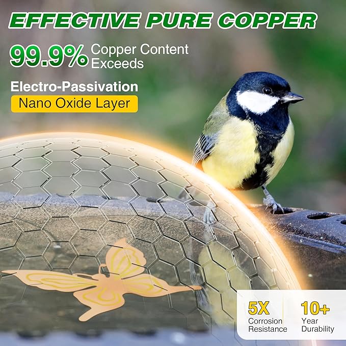 Saillong 1 Pack Bird Bath Copper Disk, Reinforced 99.99% Pure Copper Bird Bath Purification Disk for Physical Clean Water, Birdbaths Cleaner for Outdoor Birdbaths, Bowl and Garden Fountain (Butterfly)