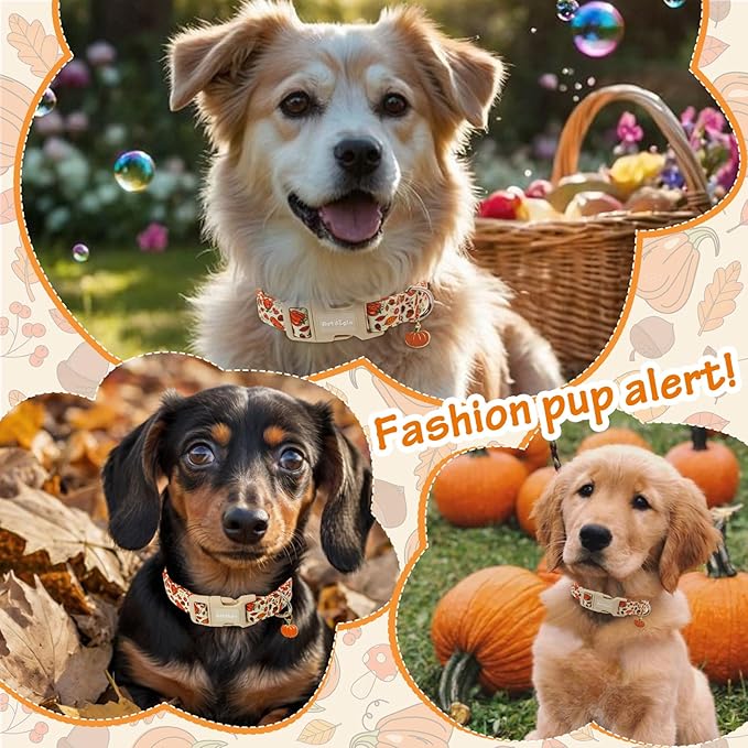 Fall Dog Collar – Halloween & Thanksgiving Dog Collars for Extra Small Dogs – Soft & Comfortable Autumn Puppy Collar with Quick Release Buckle, Extra Small Dog Collars for Girl Boy Dogs-XS