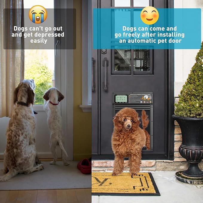 Smart Automatic Pet Door | Radar, Timer & Light Sensor Modes | Durable Aluminum, Weatherproof, Solar & USB Rechargeable | 24/7 Operation for Small Dogs & Cats (Black)