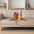 gogobunny 3X Stronger Waterproof Pet Blanket, Scratch Proof Furniture Protector for Dogs Cats, Reversible Cover 30x70 Inch, Dark Beige