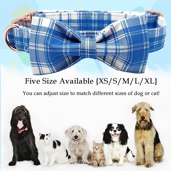 Lionheart glory Dog Collar, Boy Dog Collar Bowtie Blue Adjustable Dog Bowtie Collar Bows Dog Collar for Medium Dogs