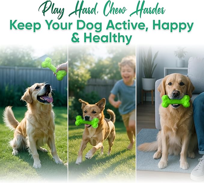 Natural Rubber Dog Chew Bone – Treat-Dispensing, Tough & Indestructible Chew Toy – Safe for Aggressive Chewers – Dental Health & Boredom Relief (Green)