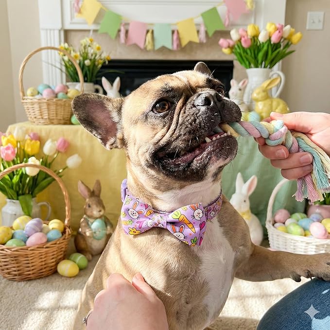 Easter Dog Collar with Bow Tie Set, Adjustable Purple Bunny and Carrot Pattern Pet Collar, Cute Spring Flower Holiday Neckwear for Small, Medium, and Large Dogs