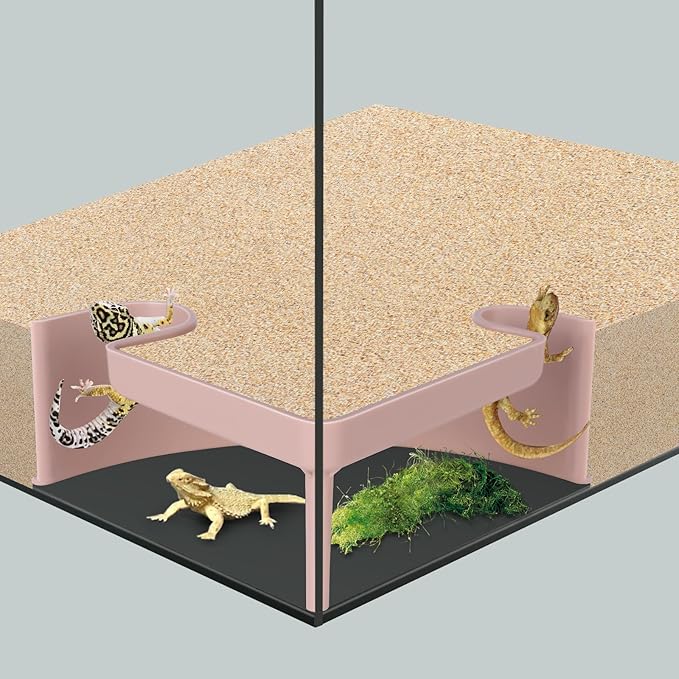 Aquarium Cave Hideout with Viewing Window - 2 Hole Corner Fish Tank Decoration for Pleco, Cory Catfish, Kuhli Loach, Shrimp & Betta Fish - Safe Underwater Tunnel for Bottom Dwellers