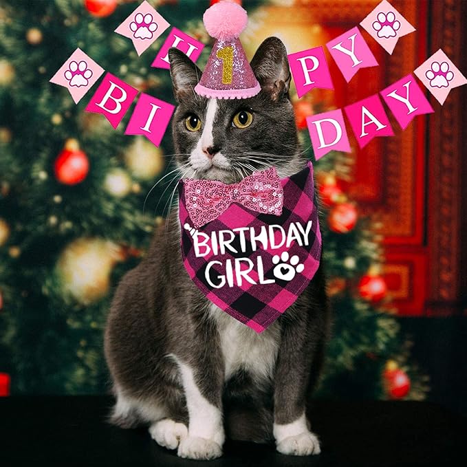 STMK Cat Birthday Decorations, Cat Birthday Hat with Numbers Bandana Bow Tie Collar Banner for Cats Kittens Outfits (Pink)