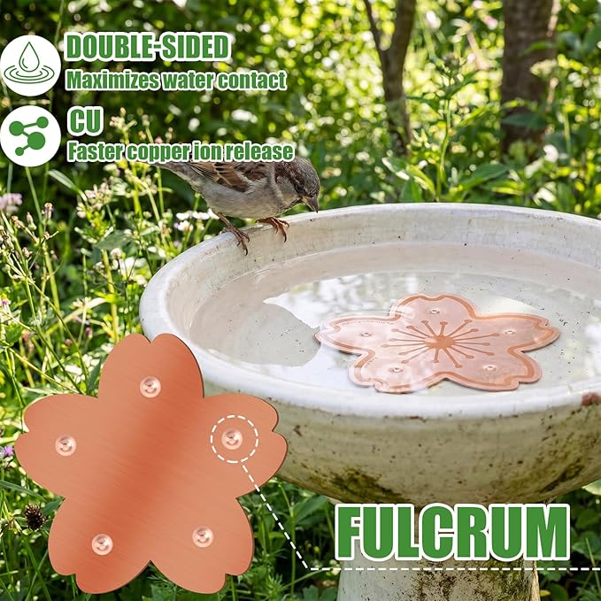 4 Pack Bird Bath Copper Disk Bird Bath Purification Disk with Triple-Point Support 99.99% Pure Copper Water Cleaner for Outside Bowl, Physical Safe Clean Water (Flowers)