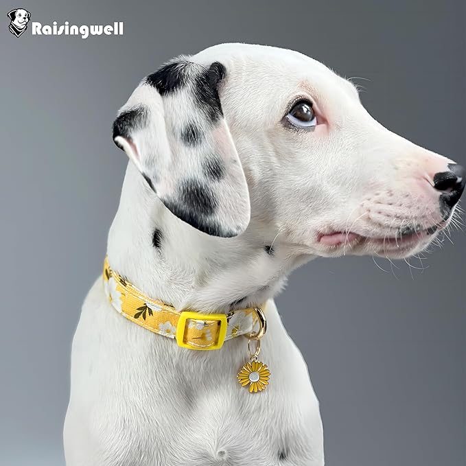 Cotton Dog Collar Yellow Flower Pattern for Boys and Girls Cute Dog Collars Summer Fall Gift Adjustable for Medium to Large Breed Dogs (M)