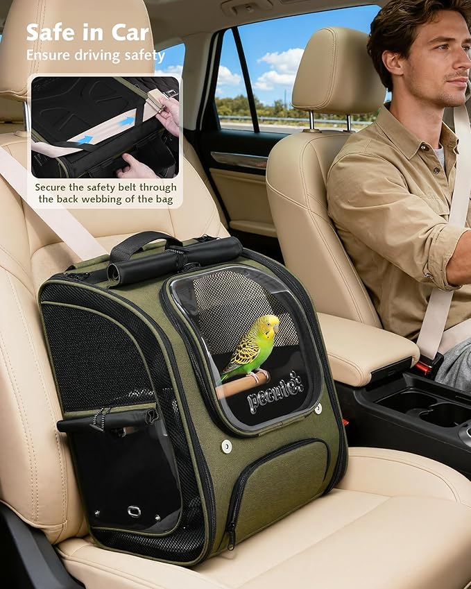 Pecute Bird Backpack Carrier for Small Birds,Cockatiel,Parrot,Bird Carrier with Standing Perch,Comfy Mat&Transparent Window, Breathable Bird Backpack for Vet Visit,Shopping and Outdoor Adventure,Green