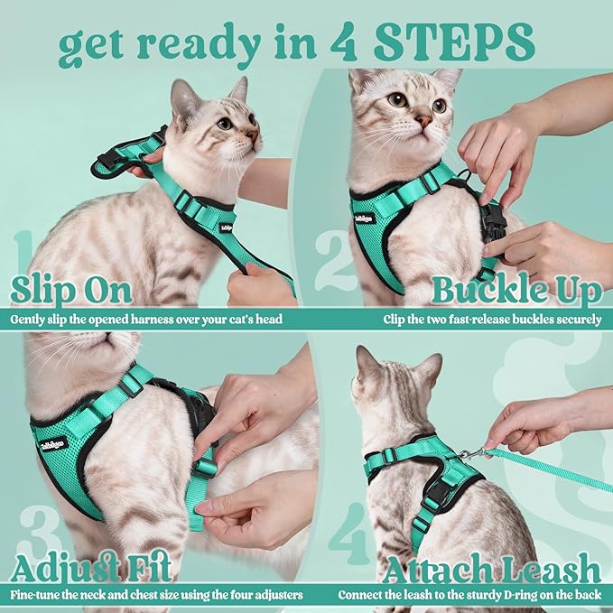 rabbitgoo Cat Harness and Leash for Walking, Escape Proof Soft Adjustable Vest Harnesses for Cats, Easy Control Breathable Reflective Strips Jacket, Emerald, XXS