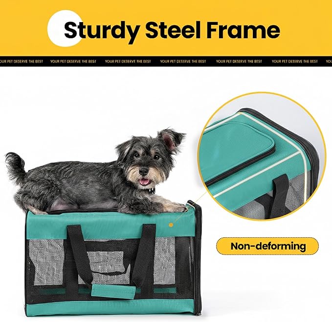 Cat Carrier Airline Approved, Soft-Sided Dog Carrier with Inner Safety Leash, Pet Transport Carrier for Small-Medium Cats Puppies up to 15 Lbs,Travel Kitten Carrier Bag -Turquoise,M