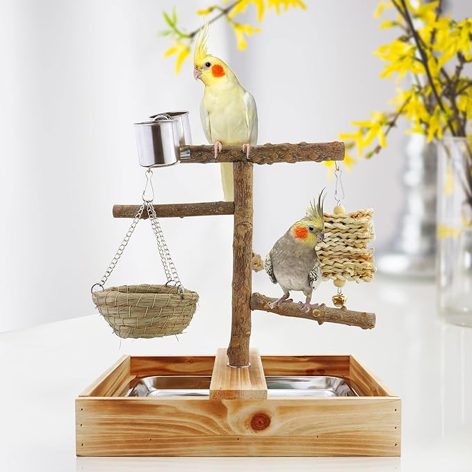 Mogoko Natural Bird Perches Playground, Cage Accessories, Toys Playground for Birds, Bird Perch Stand Parrot Stand, Includes 2 Stainless Steel Cups and Removable Tray