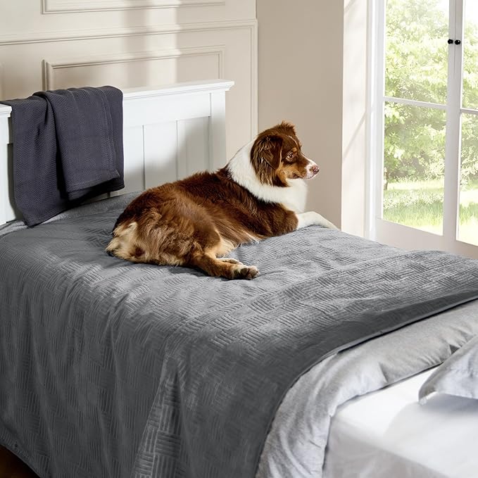 Bedsure Waterproof Couch Cover for Dogs Washable - Waterproof Blanket for Large Dogs Couch Sofa Bed Cozy, Lightweight Furniture Protector for Pet Cat Quick Drying, Ash Grey, 52x82IN