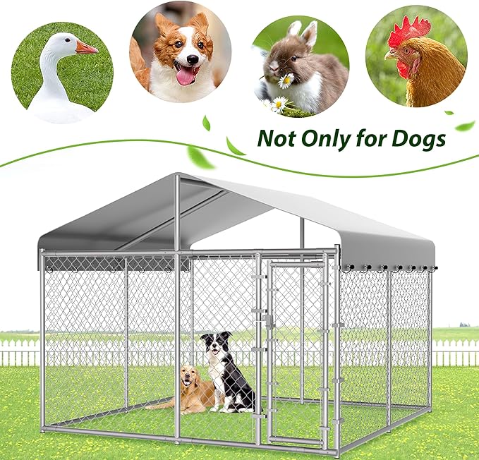 HITTITE Extra Large Outdoor Dog Kennel, 10x10x6.56ft Anti-Rust Dog Kennel Outside with Roof, Galvanized Chain Link Dog Runs for Outside with Secure Lock