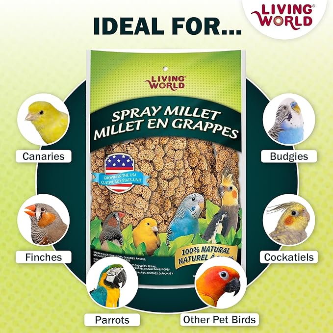 Living World – Millet Spray for Birds,7 Oz – Premium Treat for Budgies,Canaries,Finches,Cockatiels and Other Pet Birds,(Pack of 2)