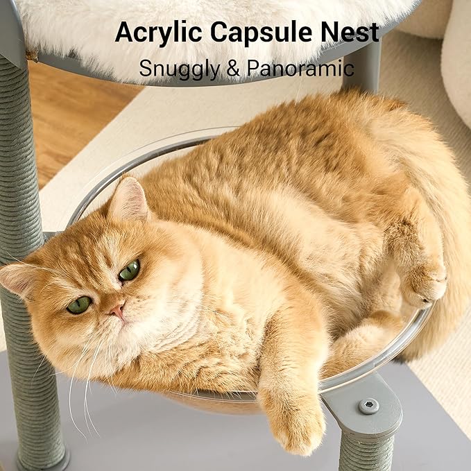 Modern Cat Tree Tower for Indoor Cats up to 12lbs, 34" H Furniture-Style Metal Cat Tower with Scratching Posts, Wood Cat Bed with Soft Plush Cushion Washable, Acrylic Capsule, Dove Gray