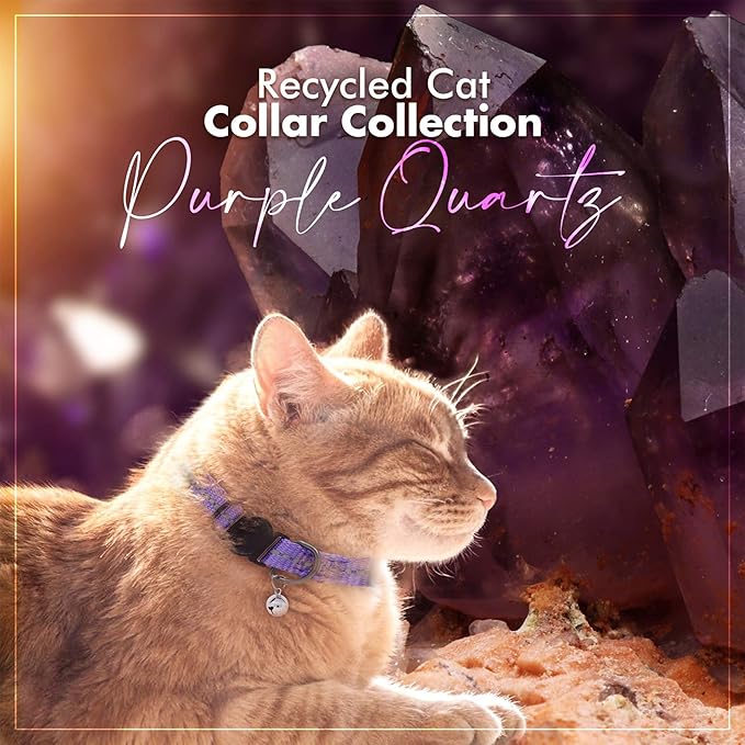 Pawtitas Recycled Purple Reflective Cat Collar – Eco-Friendly Breakaway Safety Buckle, Adjustable Kitten & Adult Collar with Removable Bell and High-Visibility Strap