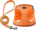 Dog Harness with Leash Set, No Pull Adjustable Reflective Step-in Puppy Pet Vest Harnesses for Small Medium Large Dogs and Cats,Orange L