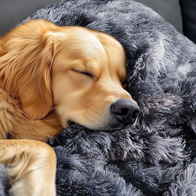 Luciphia Large Waterproof Dog Blanket for Pet Washable Liquid Proof Bed Intimacy Protection Shaggy Plush Calming Long Faux Fur Couch Cover Calming Cat Throw Blankets, Tie-dye Grey, 60" x 80"