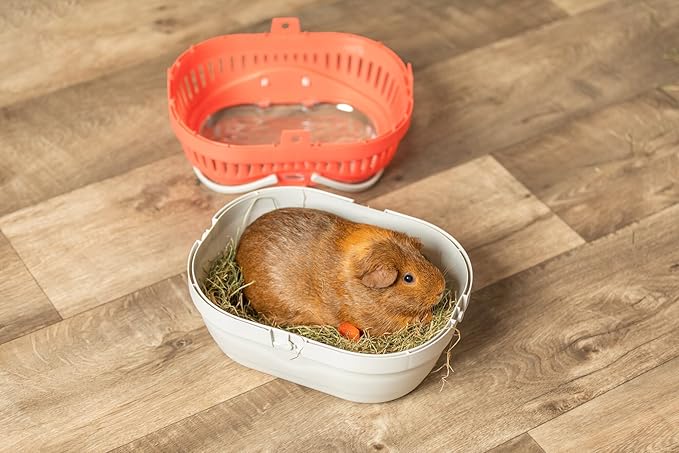 Trixie Pico Transport Crate - Portable Pet Carrier Great for On-The-Go - Traveling Cage for Small Pets, Hamsters, Guinea Pigs, Lizards, and More