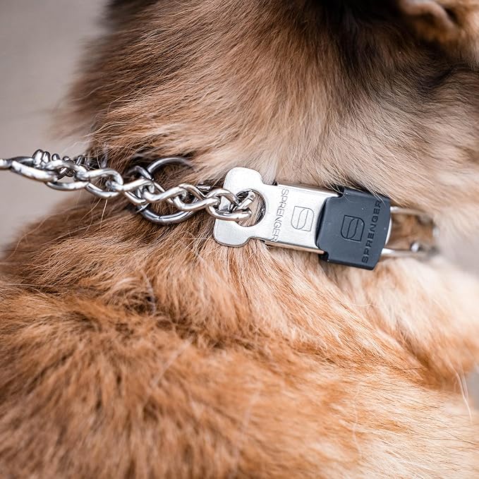 Herm Sprenger Stainless Steel Dog Collar with Short Links and Quick Release ClicLock Buckle Made in Germany (Stainless Steel, 20in x 3.0mm (Neck Size up to 16-17in))