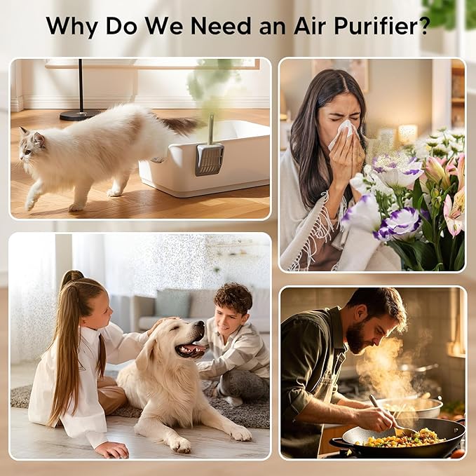 Air Purifiers for Home Bedroom Up to 1250 Ft² - H14 HEPA Air Purifier with Aroma & Sleep Mode - 24dB Small Room Air Purifier for Allergies, Smoke, Dust, Pollen, Pet Dander,4000B,White