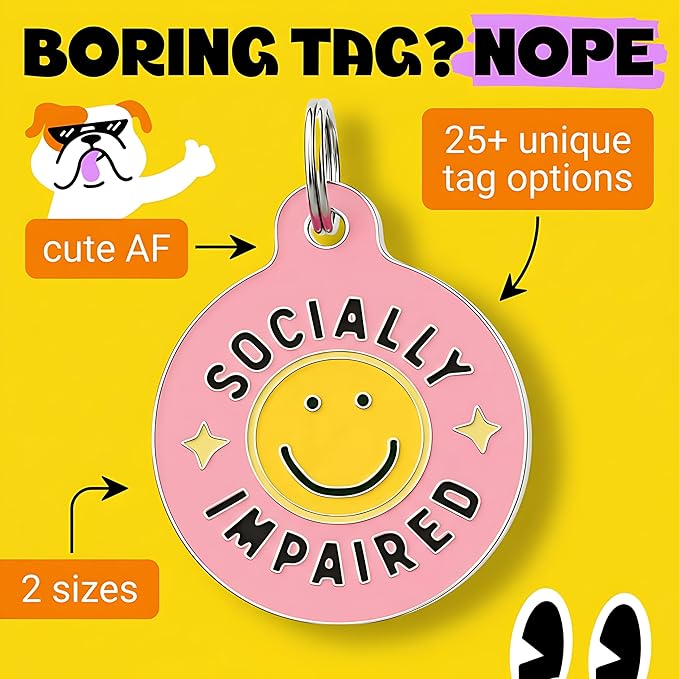 Bad Tags Personalized Dog and Cat ID Tags in 25+ Designs and 2 Sizes - 5 Lines of Custom Engraved Text - Funny Cute Personalized Pet Tags (Socially Impaired - Pink, Small (1 inch))