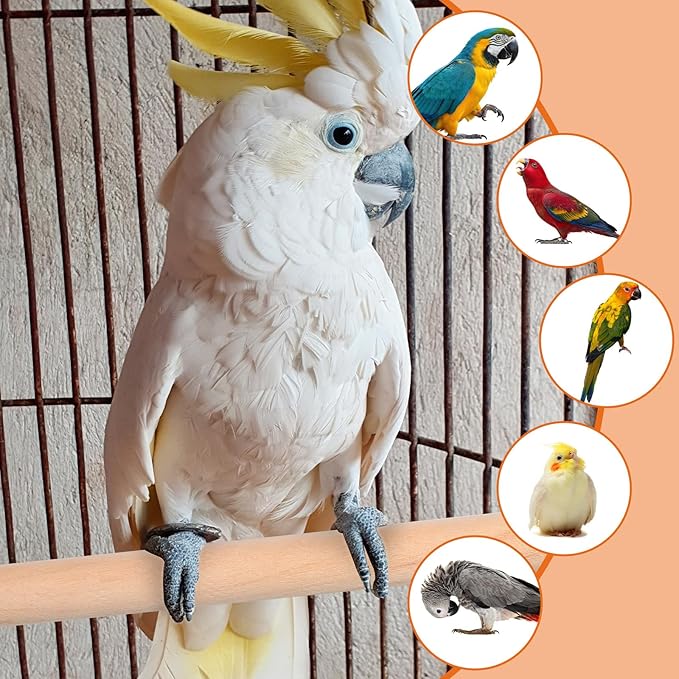 Bird Perch Wooden Parrot Perchs Stand, 4PCS Parrot Perches Toys Wood Perches with Different Widths Bird Cage Toys Cage Accessories for Macaws, Small Parakeets, Conures, Budgies, Finches